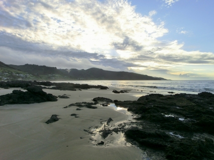 whangarei (52)